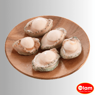 Thịt Bào Ngư Úc Đông Lạnh / Frozen Abalone Meat