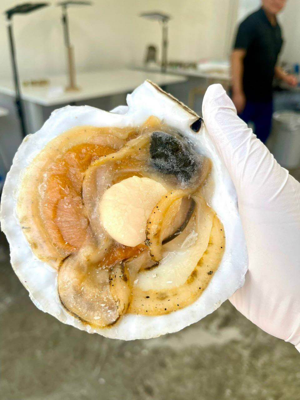 Sò Điệp Nhật Nửa  Vỏ / A HALF SHELL FROZEN  JP Scallops