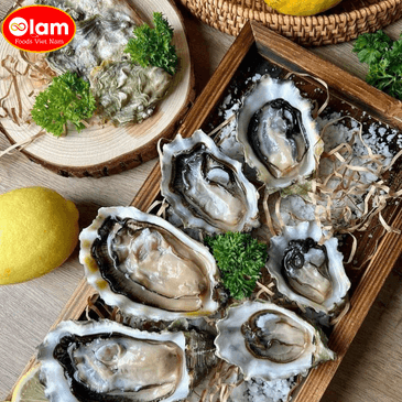 Hàu Nhật Sashimi / Hyogo Oysters (Sashimi-Grade)