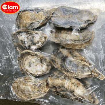 Hàu Manfuku Nhật Bản