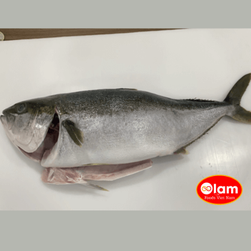 Cá Cam Sọc Clean Seas Nguyên Con / Frozen Yellowtail Fillet