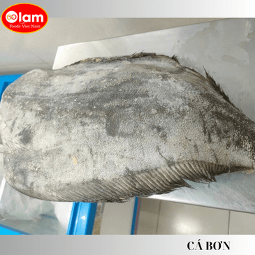 Cá Bơn Đầu Đông Lạnh / Halibut