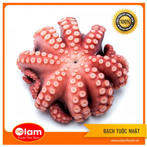 Bạch Tuộc Nhật