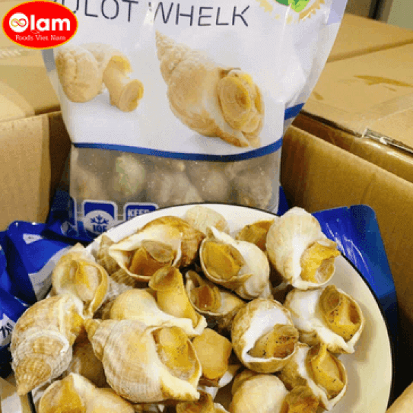 Ốc Bulot Đông lạnh / FZ Cooked Whole Whelks
