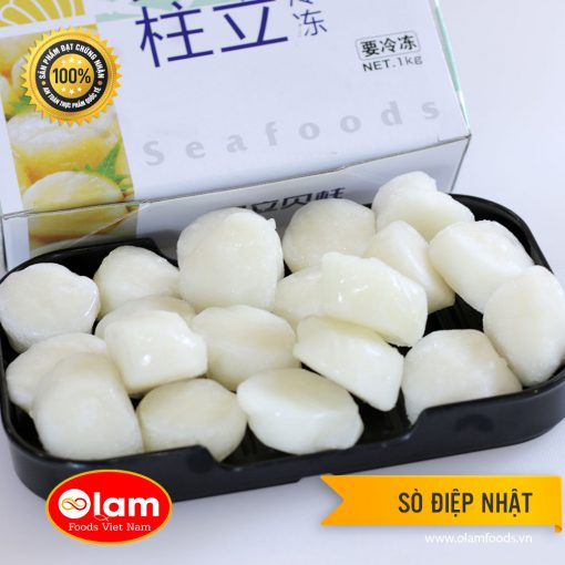 Cồi Sò Điệp Nhật