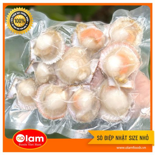 Sò Điệp Nữa Vỏ size nhỏ